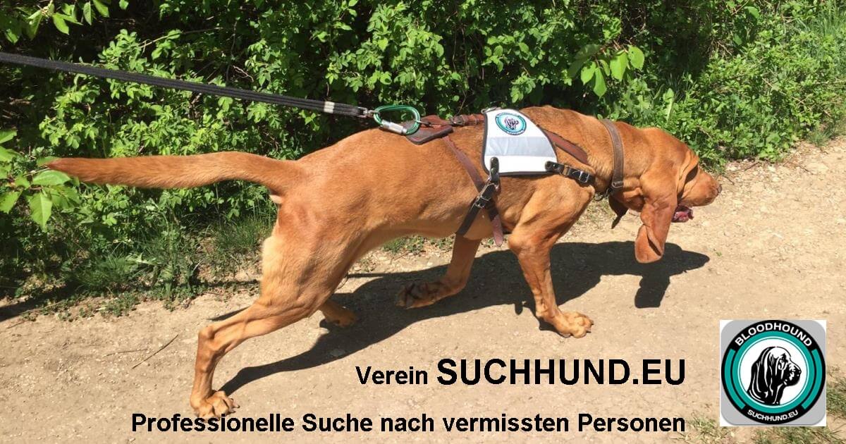 (c) Suchhund.eu
